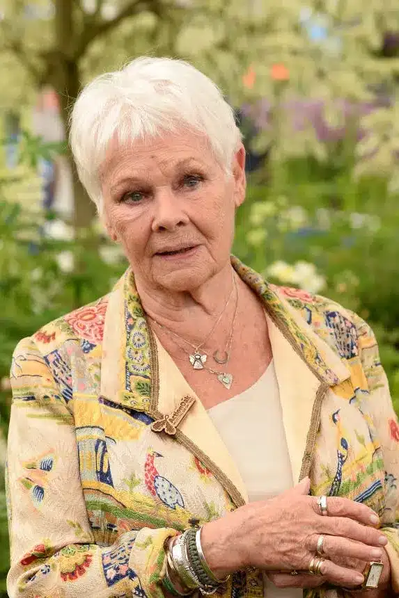 30 flattering haircuts for mature women 8 1