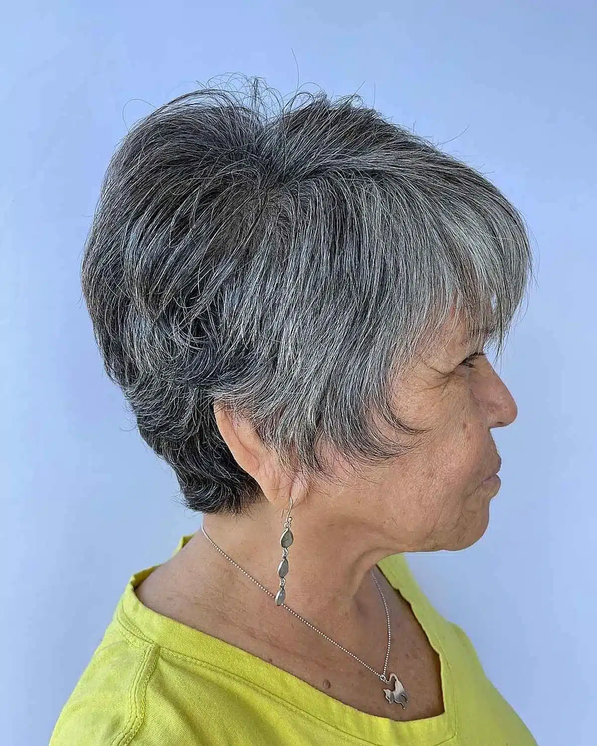 52 Perfect Pixie Haircuts for Women Over 70 to Pull Off 52 Grey Pixie Haircut for Coarse Hair