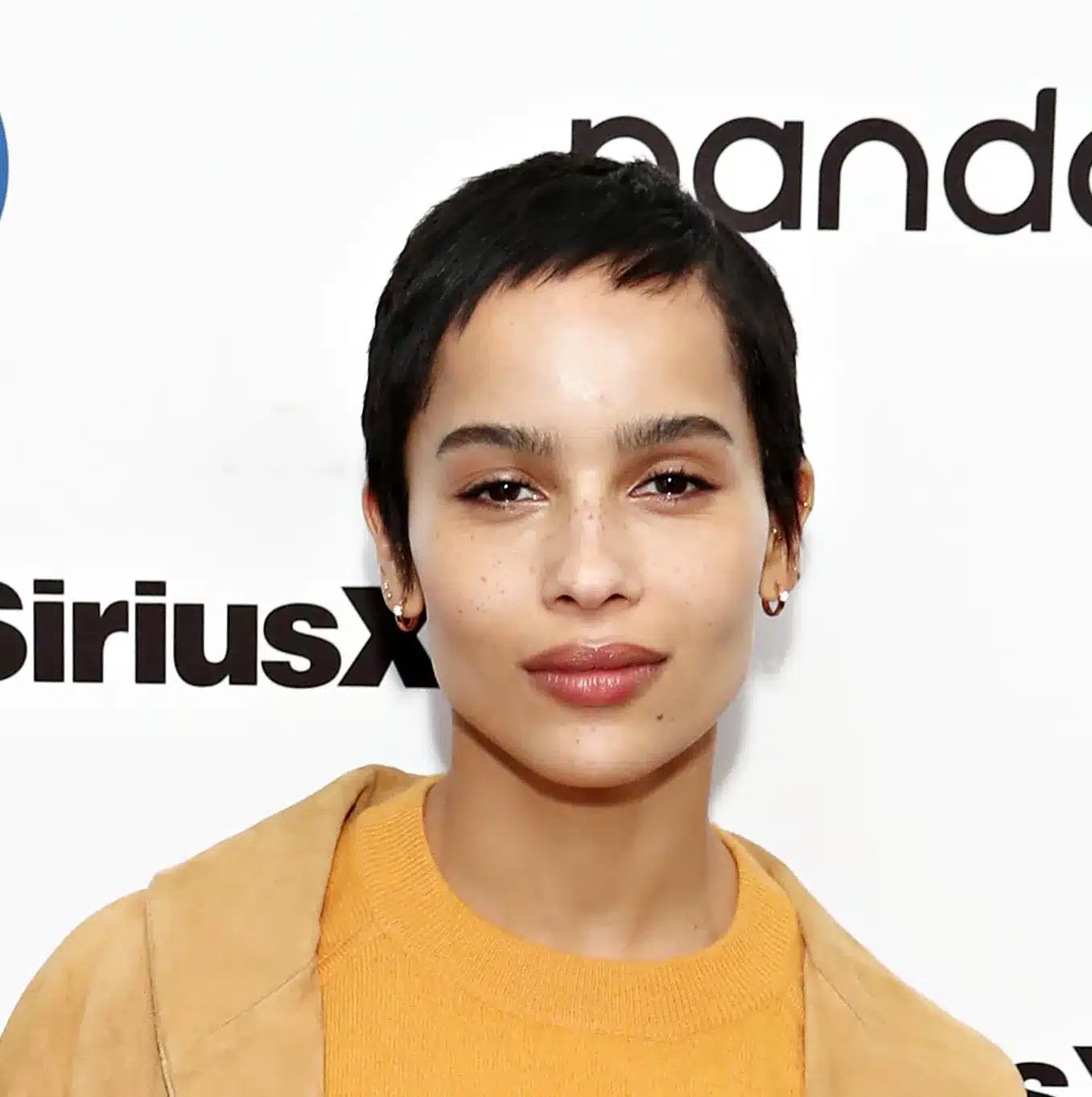 55 pixie cuts that will inspire you to go short 7