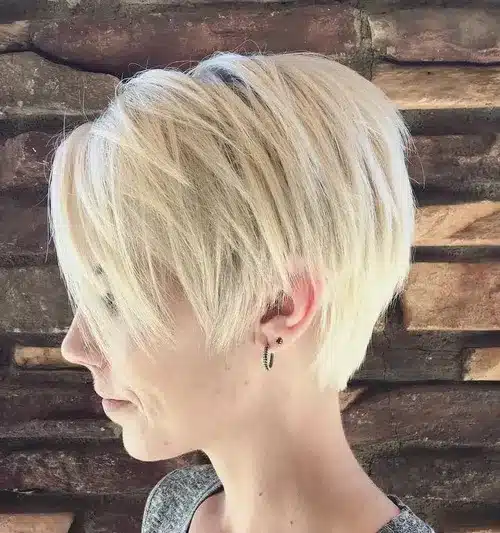 70 Pixie Haircuts for Women Seeking Stylish Looks in 2026 14 70 pixie haircuts for your stylish transformation 14 3