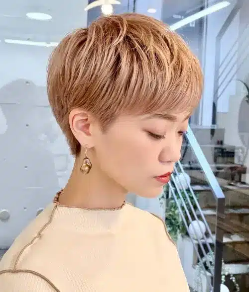 70 Pixie Haircuts for Women Seeking Stylish Looks in 2026 28 70 pixie haircuts for your stylish transformation 28 3